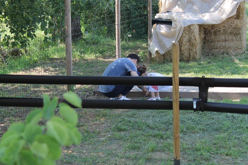 Comeback Stezzano Dış mekan fotoğraf